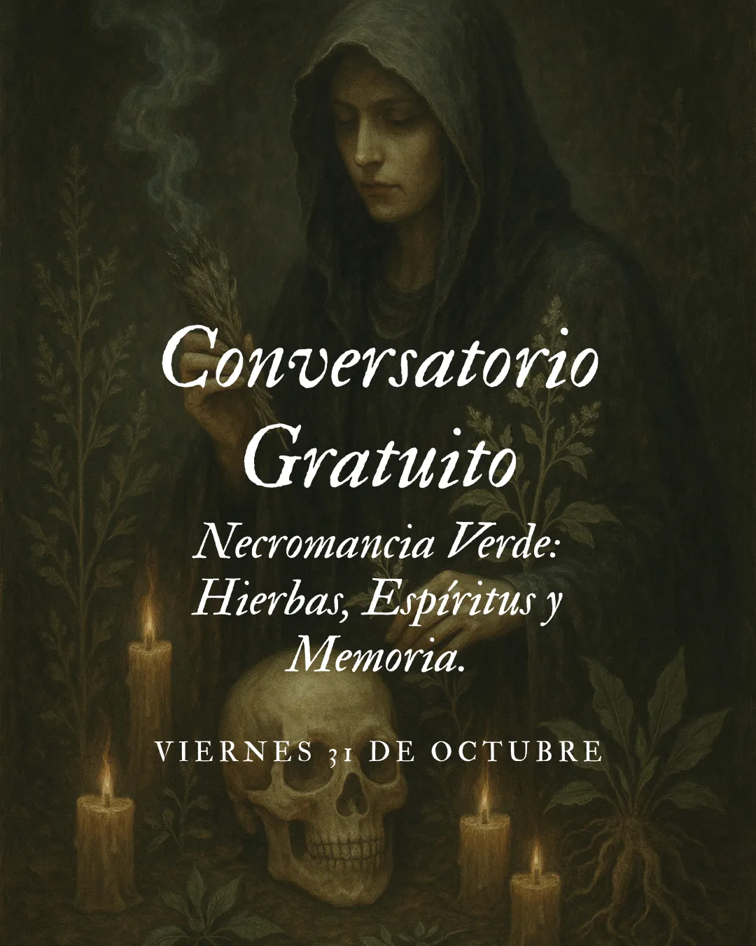 Galer&iacute;a
